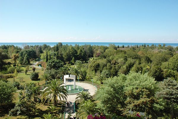 territoriya-15FE8CD02-FCEA-703D-4AC0-AB8C5AF78891.jpg